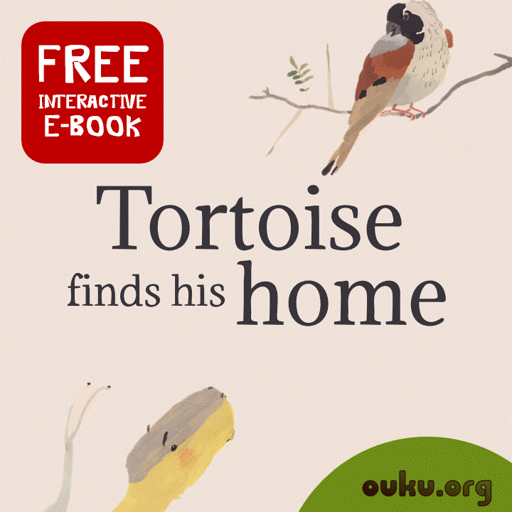 square gif - w text - Tortoise finds his home